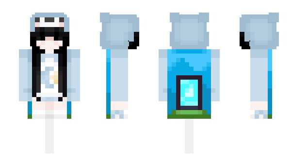 Minecraft skin Pengu1nz0nTop