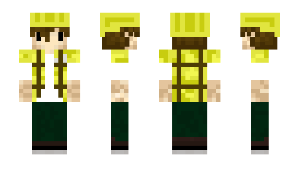 Minecraft skin iosho