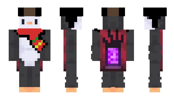 Minecraft skin Pinguin_TR356