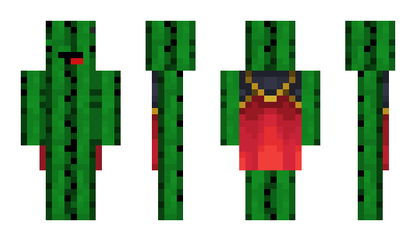 Minecraft skin Causey