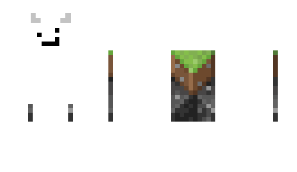 Minecraft skin MrBubuss