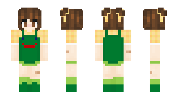 Minecraft skin idiotvillager