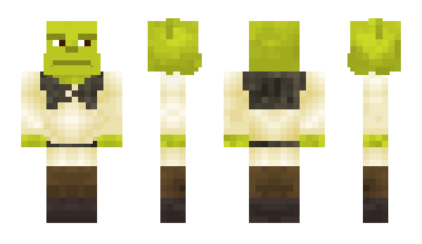 Minecraft skin whospass