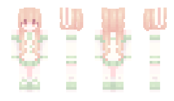 Minecraft skin WWGG