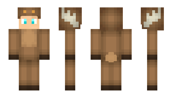 Minecraft skin dutchboy