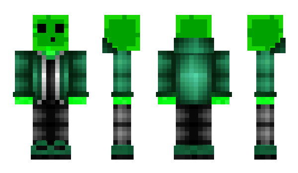 Minecraft скин по нику Paant