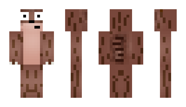 Minecraft skin rigbi123