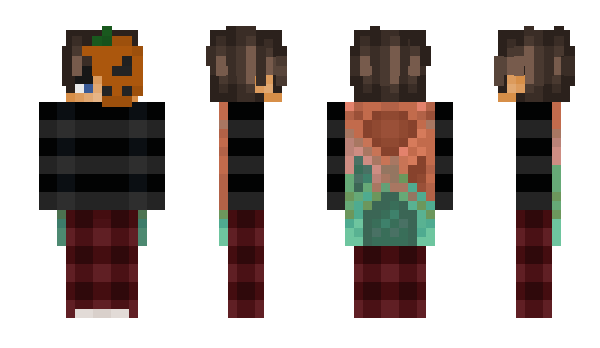 Minecraft skin brxidxn