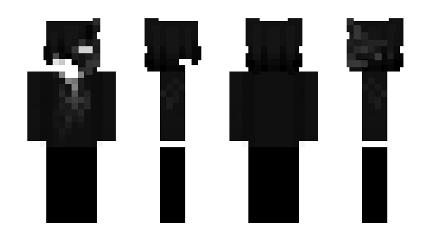 Minecraft skin EndLand