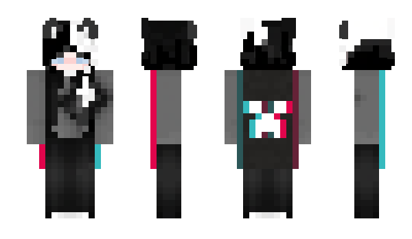 Minecraft skin Skunkil
