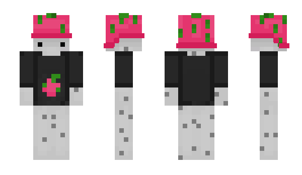 Minecraft скин по нику dragonfruitous