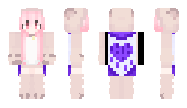 Minecraft skin eRacist