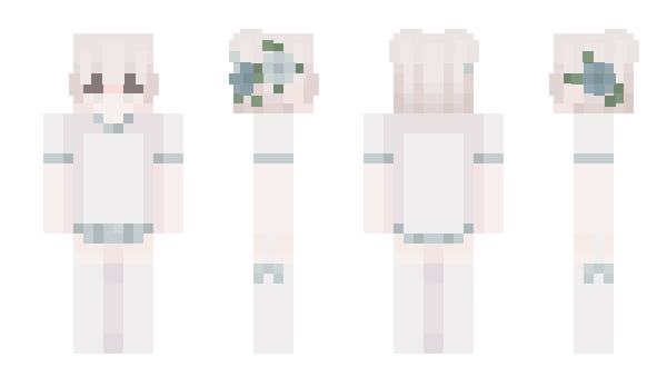 Minecraft skin MiyaChe