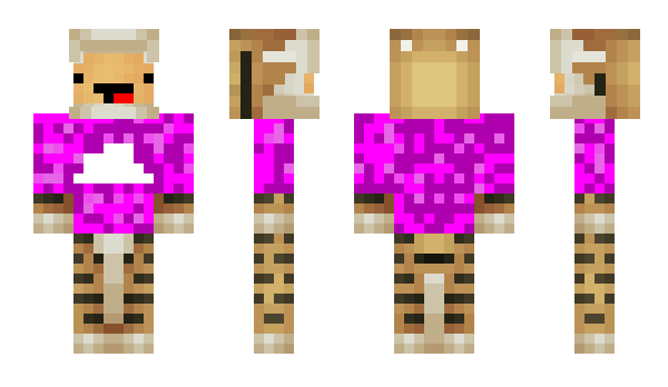 Minecraft skin DjTastyyV2