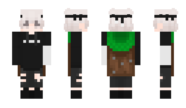 Minecraft skin ImfVerstappen