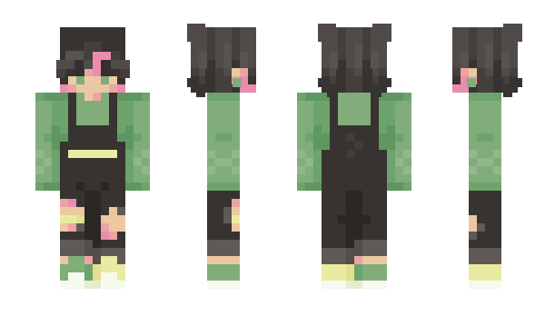 Minecraft skin Pembro