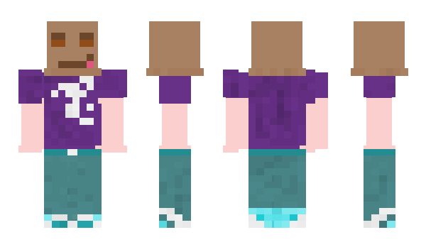 Minecraft skin 22866g