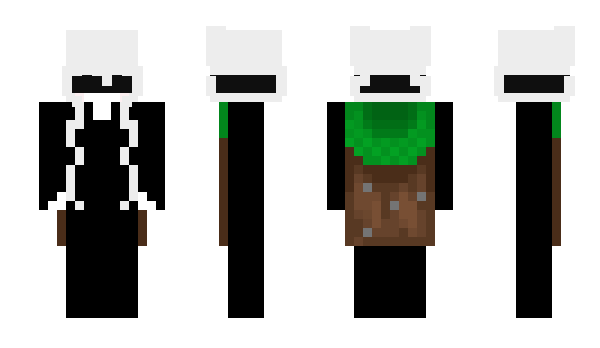 Minecraft skin Ainbot