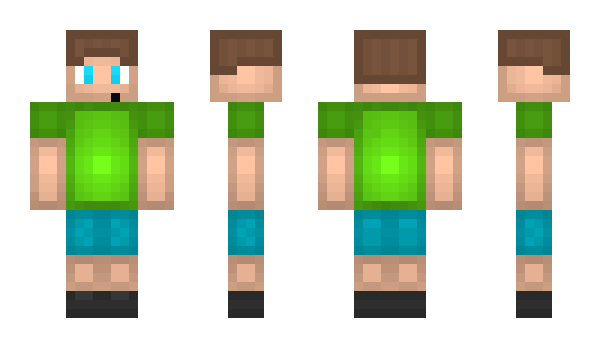 Minecraft skin Vives