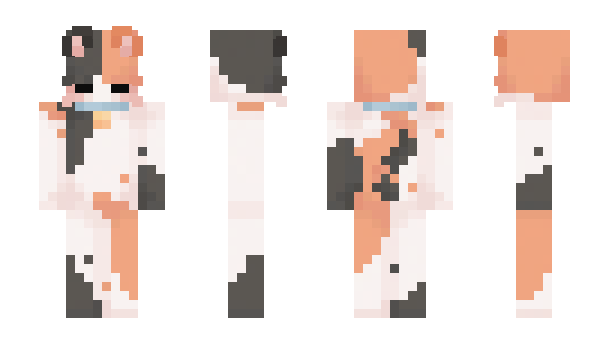 Minecraft skin Preebrii