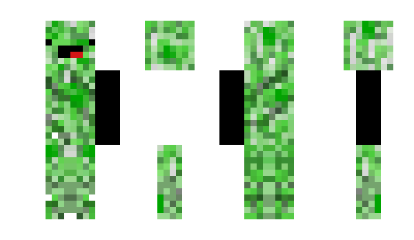 Minecraft skin Widgetis