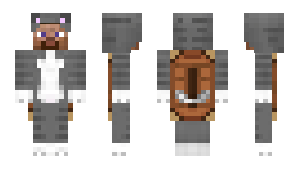 Minecraft skin Intqct