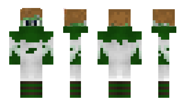 Minecraft skin GogoCreeper