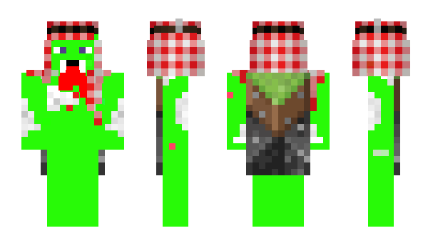 Minecraft skin emodeo