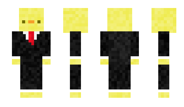 Minecraft skin nophop