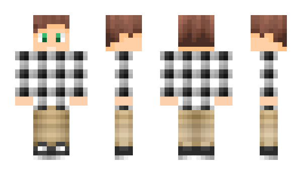 Minecraft skin Cruze