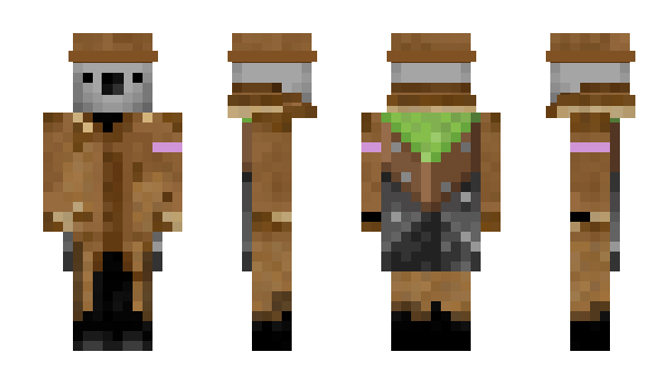 Minecraft skin TPKoala