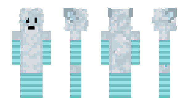 Minecraft skin skinnycon