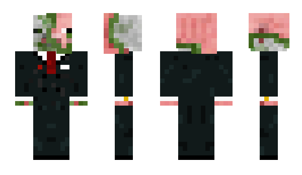 Minecraft skin benDra