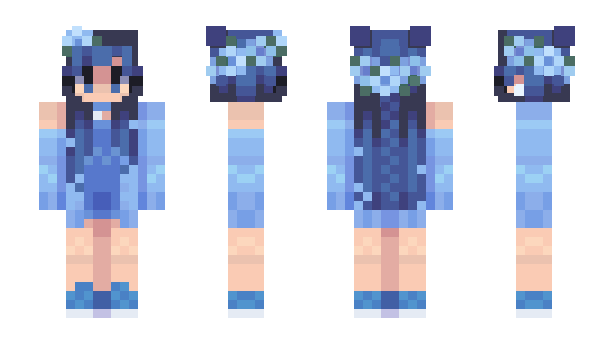 Minecraft skin wrinie