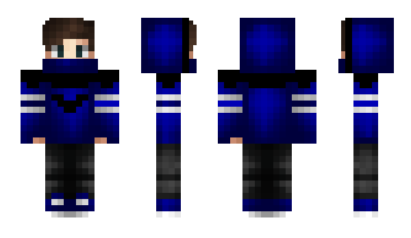 Minecraft skin selavire