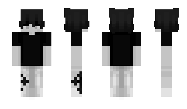 Minecraft skin memory41