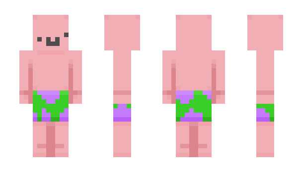 Minecraft skin ppjk