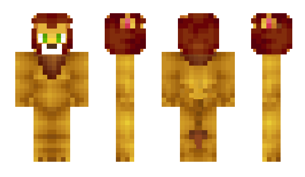 Minecraft skin Poccomaxa