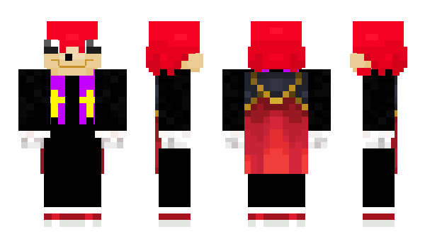 Minecraft skin DrSekkusu