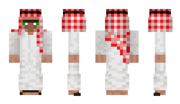 Minecraft skin SSD1