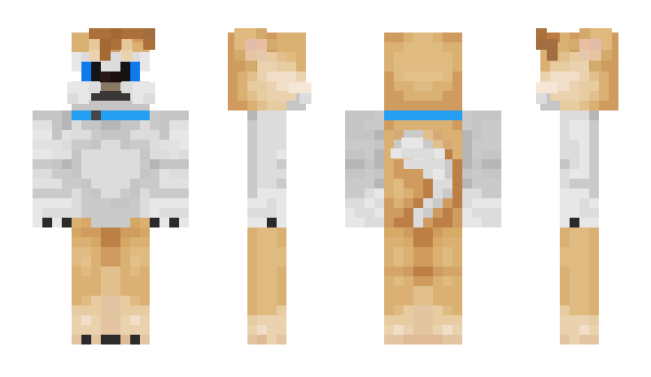 Minecraft skin Pshelly