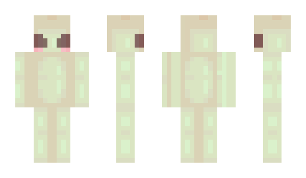 Minecraft skin Reiim