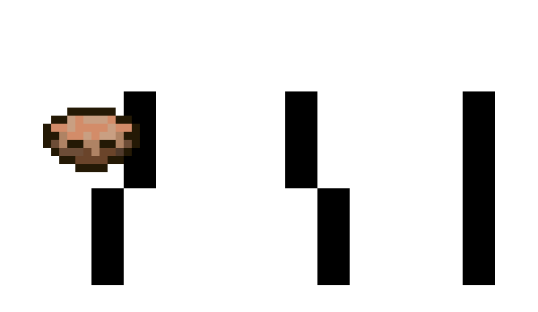 Minecraft skin 9s1