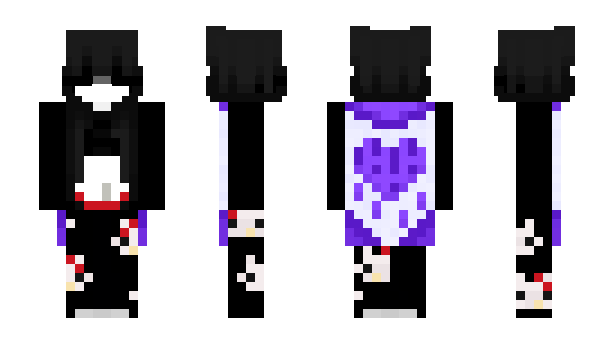 Minecraft skin PPVZ