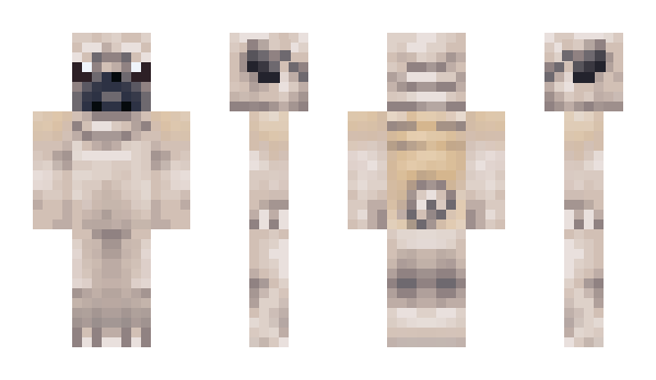 Minecraft skin TehJ3NX