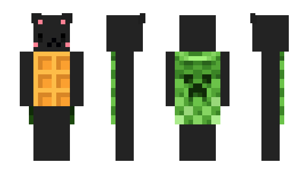 Minecraft skin DollarCat
