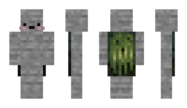 Minecraft скин по нику _reri