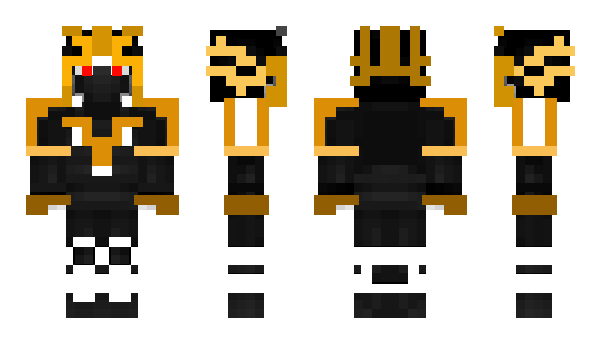 Minecraft skin kingkonn