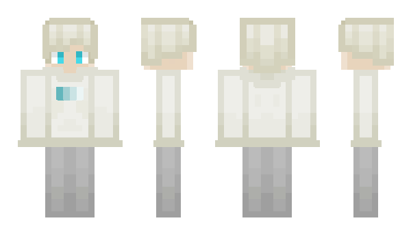 Minecraft skin CatwaIl