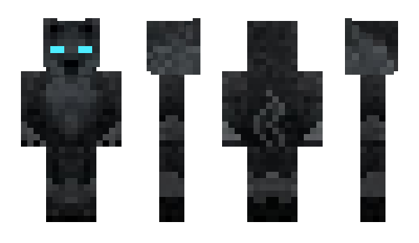 Minecraft skin casehendy